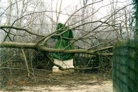 Tempête de 1999 © château de Versailles, Christian Milet